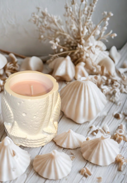 Seashell Candle
