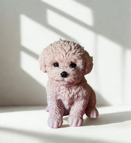 Puppy Cande