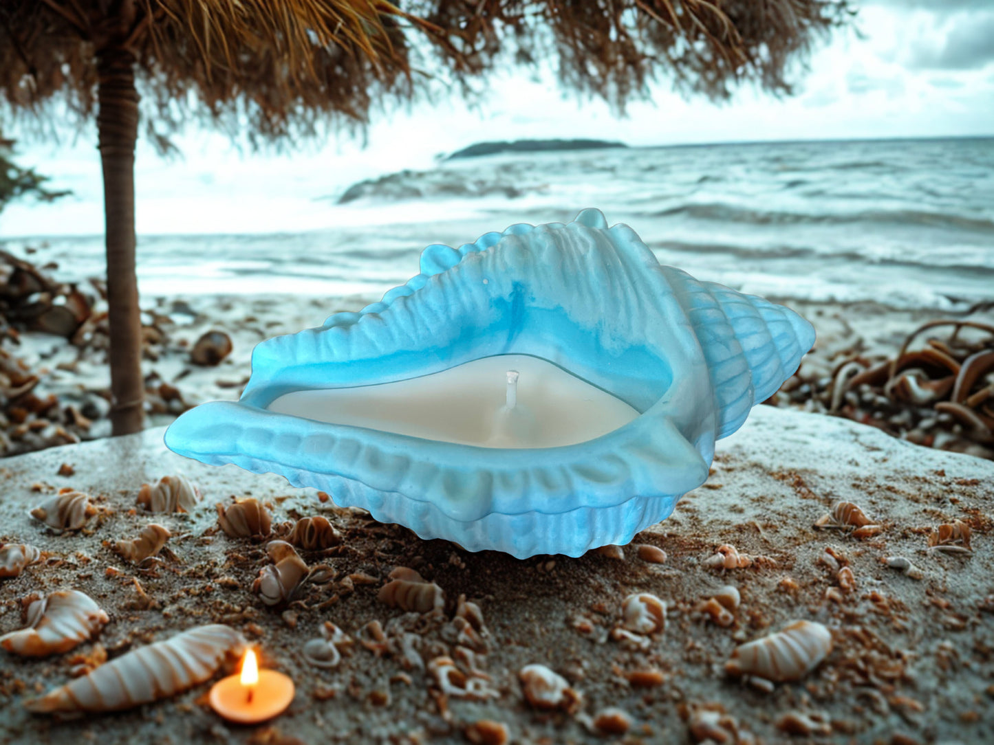 Conch Candle